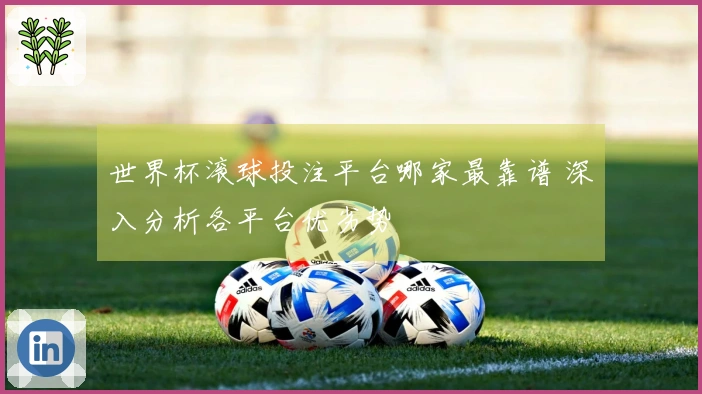 世界杯滚球投注平台哪家最靠谱 深入分析各平台优劣势